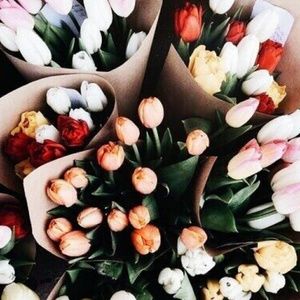 🌸Spring is here🌸